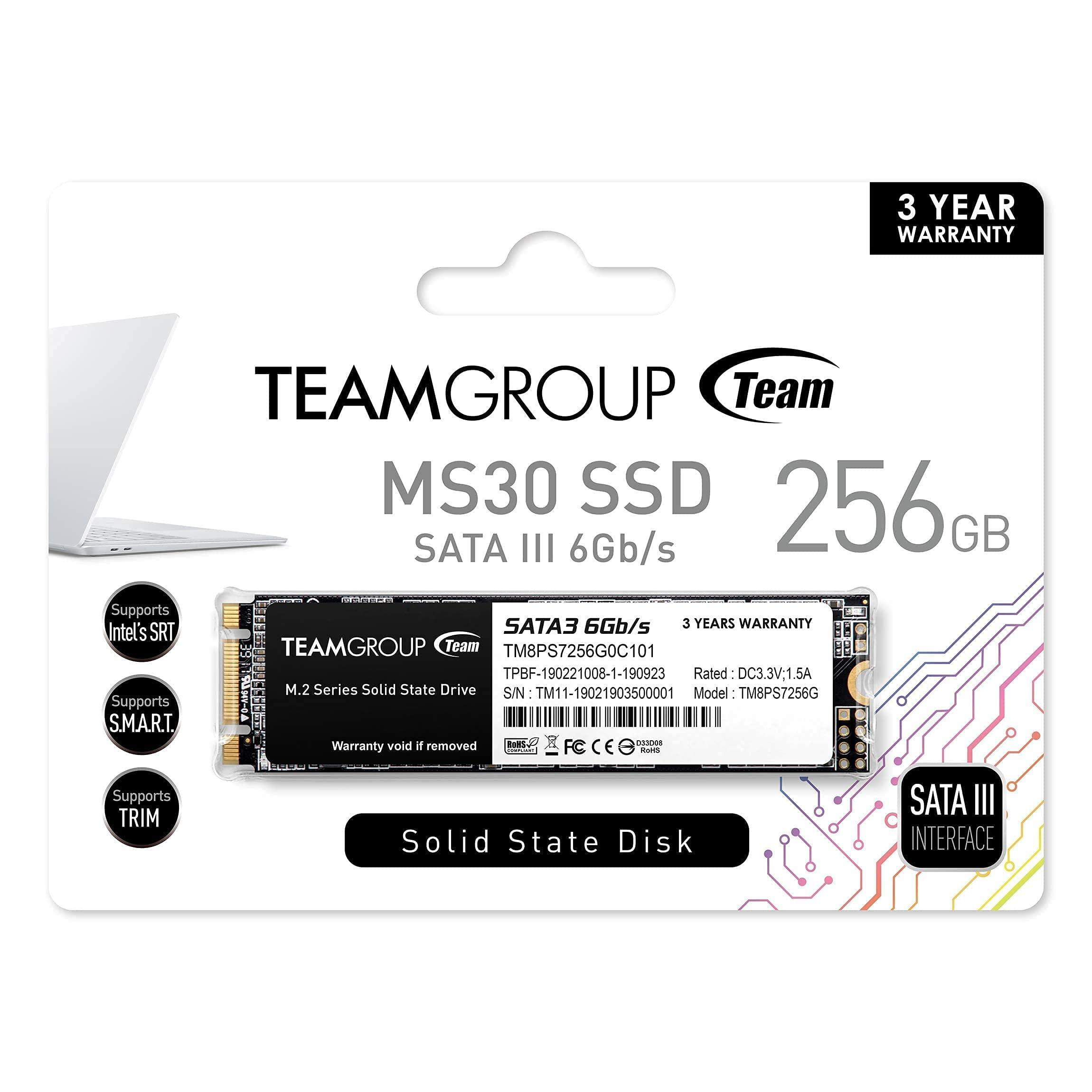 TEAMGROUP MS30 256GB 